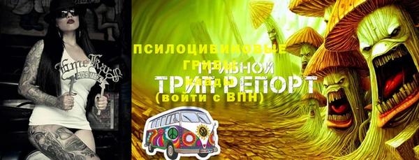 синтетический гашиш Алексеевка